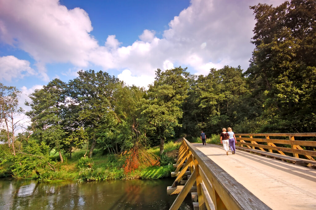 Scenic bridge crossing a peaceful lake surrounded by nature